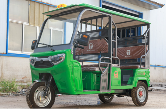 Tricycle Électrique Dudu - 800W avec Batteries 60V, Personnalisable